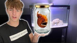 Buying a Fish Mystery Box on the Dark Web!