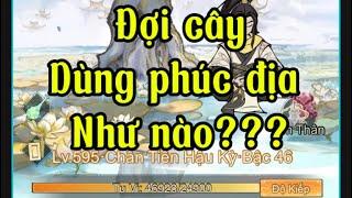 Dùng phúc địa khi đợi cây - Tiểu yêu tầm đạo