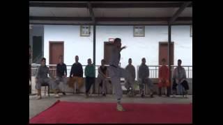 Sifu Chandresh - Practice in Shaolin Temple