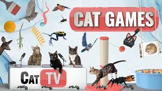 CAT Games | Ultimate Cat TV Compilation Vol 45 | 2 HOURS 
