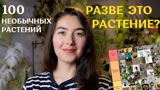 УРОДЛИВЫЕ, утончённые, РЕДКИЕ, не похожие на РАСТЕНИЯ | 100 необычных растений ОТ ПОДПИСЧИКОВ