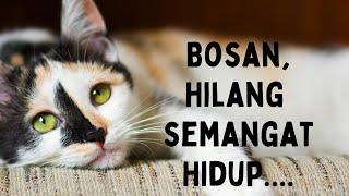 Curhat Ke Om2. Ep.: BOSAN DAN HILANG SEMANGAT HIDUP.