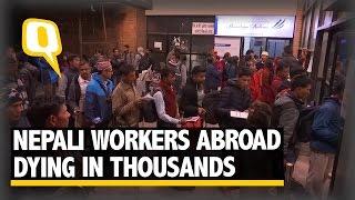 The Quint: Nepali Migrant Workers Die in Thousands Earning a Living Abroad