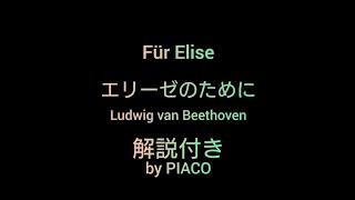 Beethoven ベートーヴェン【エリーゼのために/Für Elise】解説付