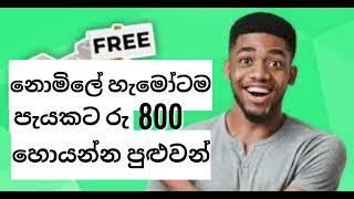 EARN MONEY ONLINE IN SINHALA  | පැයකට රුපියල් 800 ක් හොයන්න පුළුවන් සුපිරිම සයිට් එක | NO INVESTMENT