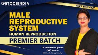 Male Reproductive System | Human Reproduction | NEET 2023 | Premier Batch | AA Mam | Etoosindia NEET