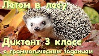 Диктант c грамматическим заданием! 3 класс. Летом в лесу #диктант3класс #диктант