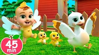 Old MacDonald (Learn Animal Sounds) | Newborn Baby Songs & Nursery Rhymes