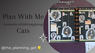 Plan With Me | #youtubecollabloopgroup Cats