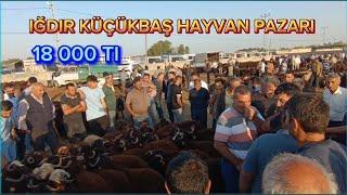 IĞDIR HAYVAN PAZARI GÜNCEL FİYAT ~HAYVAN PAZARINI GEZDİK ~ FİYATLAR EFSANEYDİ