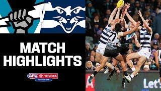 Port Adelaide v Geelong Highlights | Round 14, 2019 | AFL