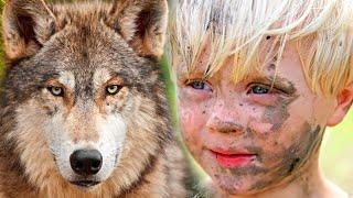 Мальчишка спас маленького волчонка! А когда волчонок подрос он отплатил ему добром. Волчья верность.