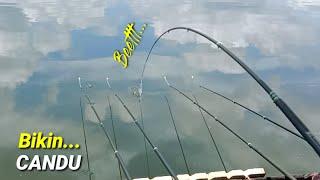 Mancing NILA WWL Bikin Candu || MANCING NILA WADASLINTANG TERBARU