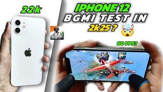 iPHONE 12 GAMING REVIEW IN 2025 | iPHONE 12 FOR BGMI/PUBG TEST | IPHONE 12 BGMI TEST