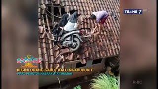 BEGINI ORANG GABUT KALAU NGABUBURIT - SPOTLITE