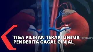 Ini Tiga Pilihan Terapi untuk Penderita Gagal Ginjal