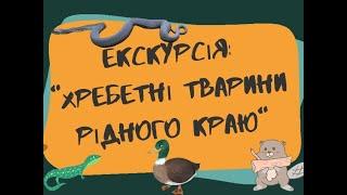 Екскурсія "Хребетні тварини рідного краю"