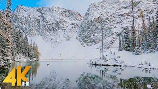 4K Winter Forest Walk with Bird Sounds & Calming Music - Hike along the Blue Lake Trail, WA State