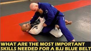 What Are The Most Important Skills Needed For A BJJ Blue Belt by John Danaher