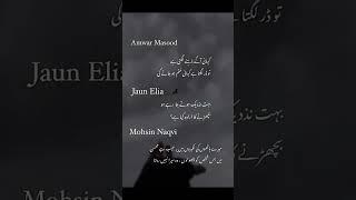 John Elia Poetry  #urdushayeri #poetryurdu #quotes #sad #viral #shorts