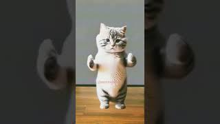 Ai Video | Cat dance video #cat #cute #shortvideo #catdance #dance #viralshort #music