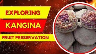 Northern Afghan Delicacy: Exploring Kangina Fruit Preservation #food #foodhistory