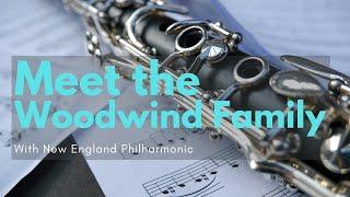 Woodwind Instruments for Kids with New England Philharmonic!