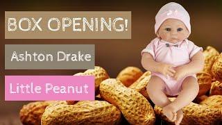 BOX OPENING:  Little Peanut Doll  by Ashton Drake Galleries & Master Artist Tasha Edenholm