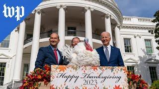Biden pardons Thanksgiving turkeys