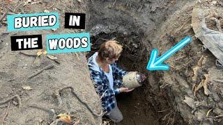 A Strange Sink Spot in the Woods Leads to an Amazing Discovery