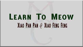 Learn To Meow by Xiao Pan Pan & Xiao Feng Feng [Lyrics & English Translation]