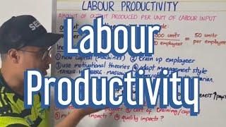 Labour Productivity