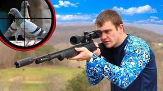 Scope Cam Hunting Pigeons with Suppressed Pellet Gun!