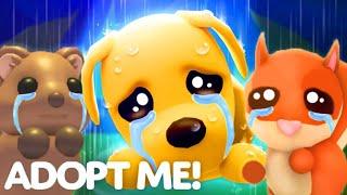 NO MORE NEW UPDATES!?REAL TRUTH BEHIND SAD PET THUMBNAILS IN ADOPT ME! (MUST WATCH) ROBLOX