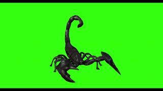 SCORPION #6  || GREEN SCREEN || 4k || ANIMATION  || FREE 3D