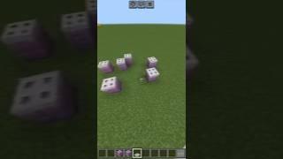 Useless 🪴 Minecraft viral build hack #minecraft #memes #gaming #minecraftmemes