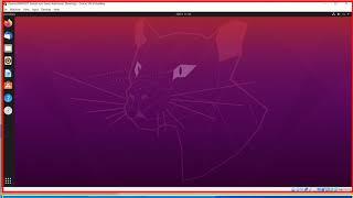 Download and Install Ubuntu 20.04 LTS Desktop with Guest Additions into VirtualBox