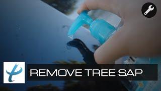 How To Quickly Remove Tree Sap From Car - Avoiding Costly Automotive Repairs