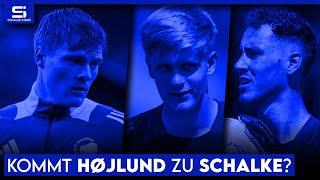 Højlund zu Schalke? Heekeren mit Kampfansage! Weiterer Neuzugang soll kommen! | S04 NEWS