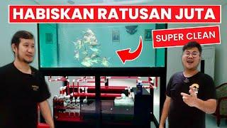 GREBEK SULTAN IKAN SENIOR !!! IKAN UNIK DAN SUPER LANGKA DI MEGATANK SUPER CLEAN AND CLEAR