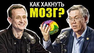 Вячеслав Дубынин: тренировка памяти, витамины и БАДы, влияние соцсетей на работу мозга