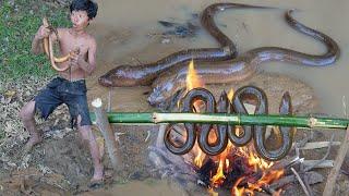 Primitive Wildlife - Cacth eels and cooking - Eating delicious