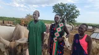 Kuoi Ariik at Wutic Manyang showing cows to Wut Nook (Pakeer)