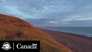 Pituamkek (Hog Island Sandhills) | Parks Canada