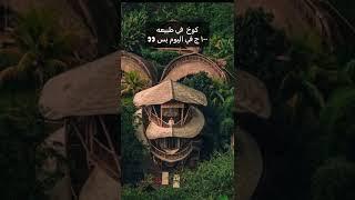 حاجات لازم تعرفها عن بالي اندونيسيا ارخص دوله في العالم #اندونيسيا #مصر #بالي #سفر #سياحة