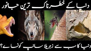 Most Dangerous Animals of the World/ Dunya k khatrnak janwar/ Zee information