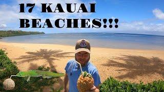 17 beaches in Kauai Hawaii