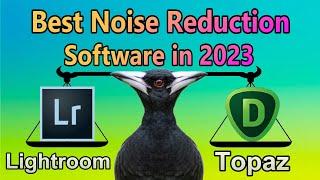 Best Noise Reduction Software in 2023