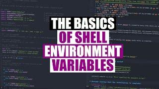 How To Use Shell Environment Variables