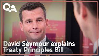 David Seymour: Why Treaty of Waitangi principles should be redefined | Q+A 2024